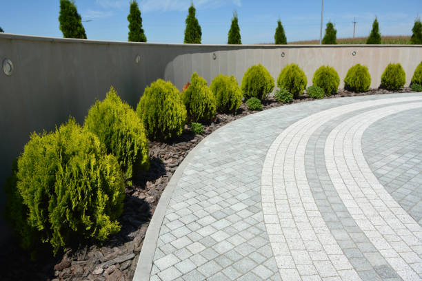 Best Interlocking Driveway Pavers  in Mayer, AZ